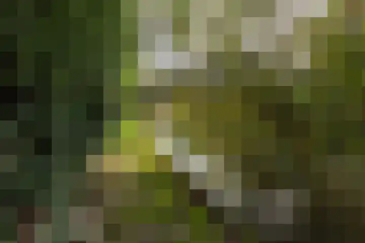 Van Vredenburchlaan 69 Bergschenhoek thumbnail 4