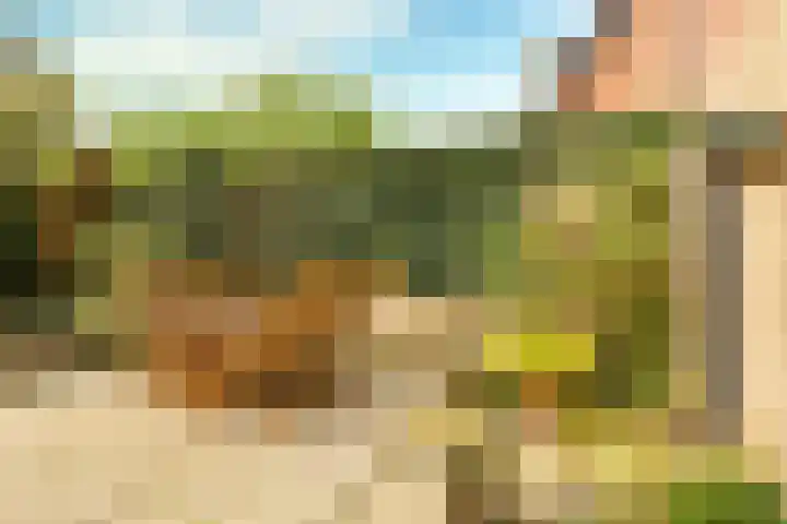Van Vredenburchlaan 69 Bergschenhoek thumbnail 43