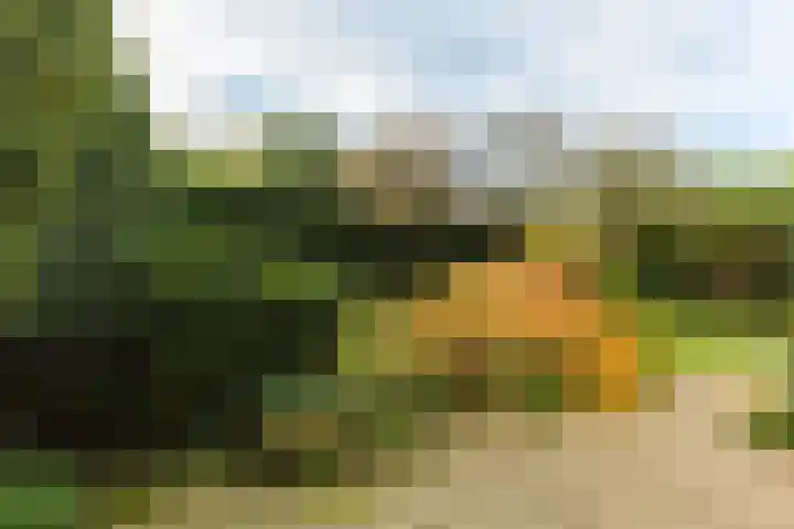 Van Vredenburchlaan 69 Bergschenhoek thumbnail 45