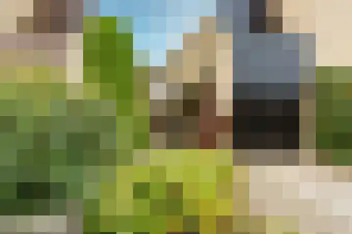 Van Vredenburchlaan 69 Bergschenhoek thumbnail 8