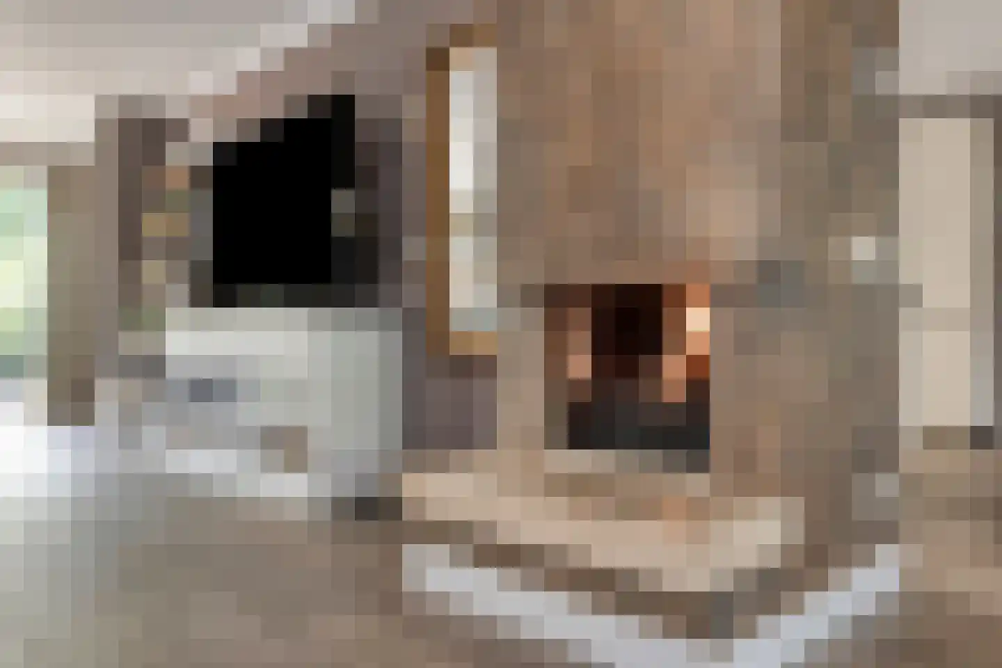 Van Vredenburchlaan 71 Bergschenhoek thumbnail 24