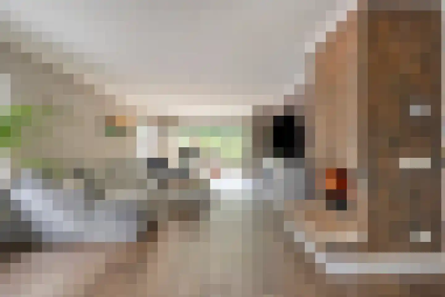 Van Vredenburchlaan 71 Bergschenhoek thumbnail 25