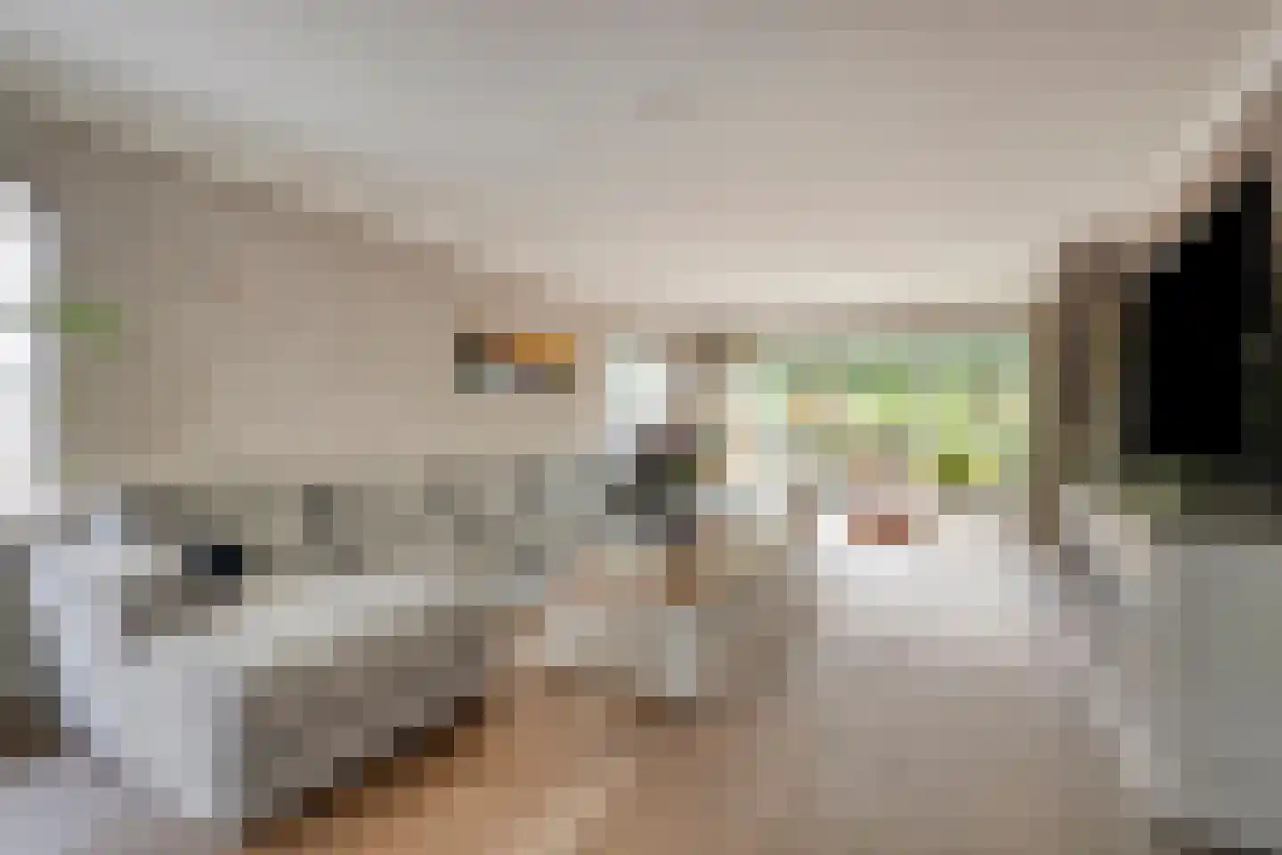 Van Vredenburchlaan 71 Bergschenhoek thumbnail 26