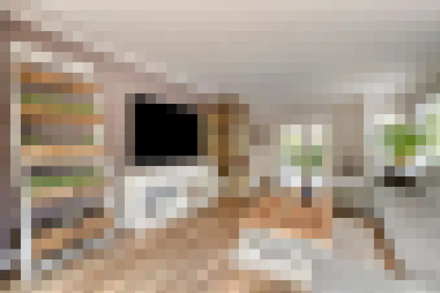 Van Vredenburchlaan 71 Bergschenhoek thumbnail 29
