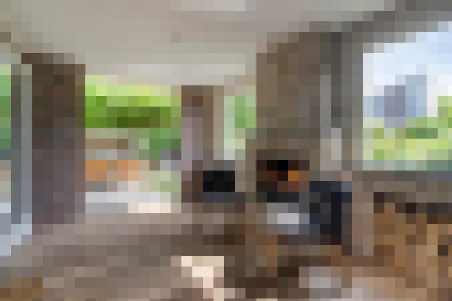 Van Vredenburchlaan 71 Bergschenhoek thumbnail 36