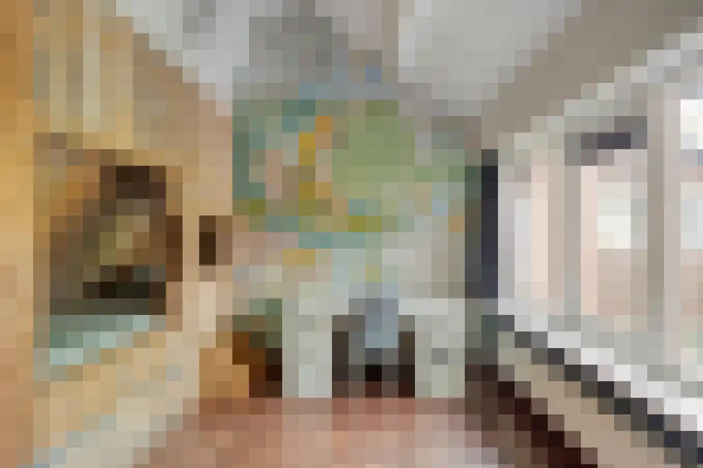 Van Vredenburchlaan 71 Bergschenhoek thumbnail 51