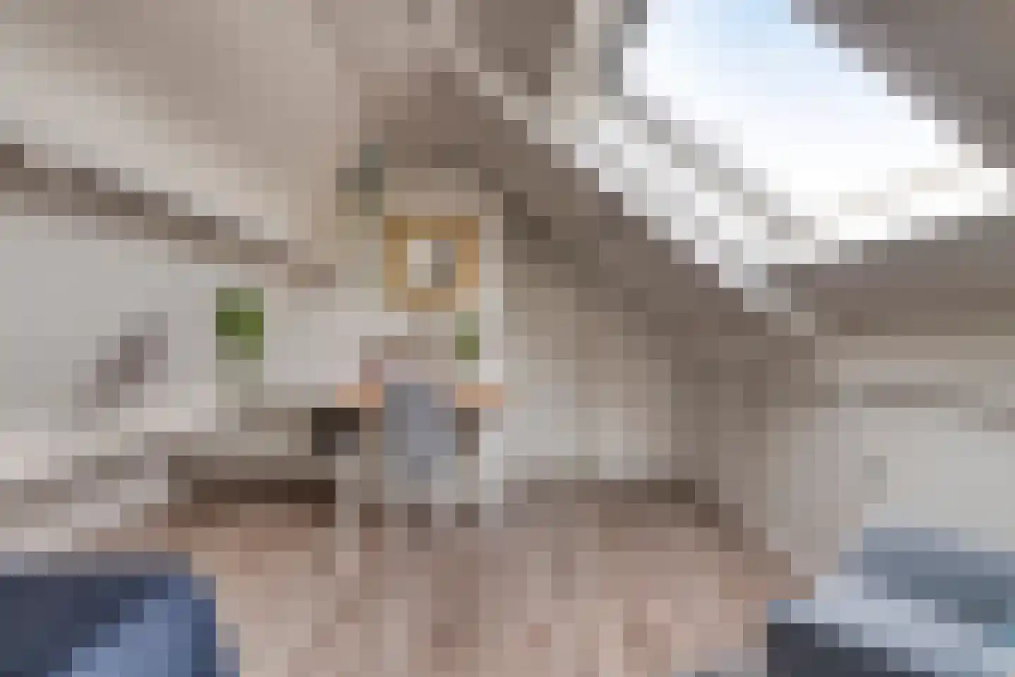 Van Vredenburchlaan 71 Bergschenhoek thumbnail 55