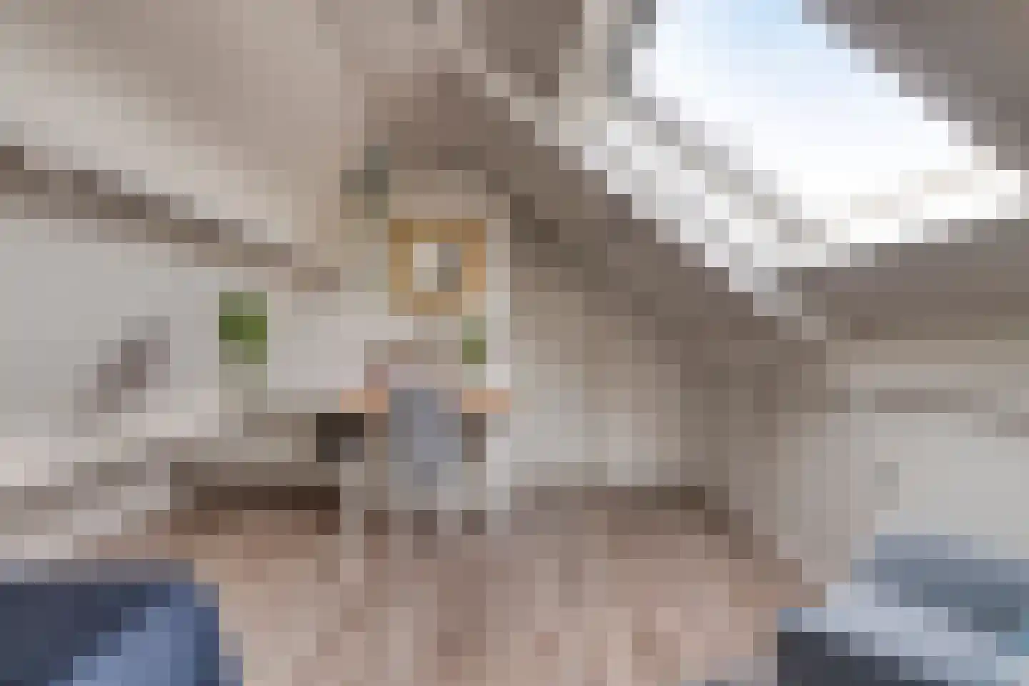 Van Vredenburchlaan 71 Bergschenhoek thumbnail 58