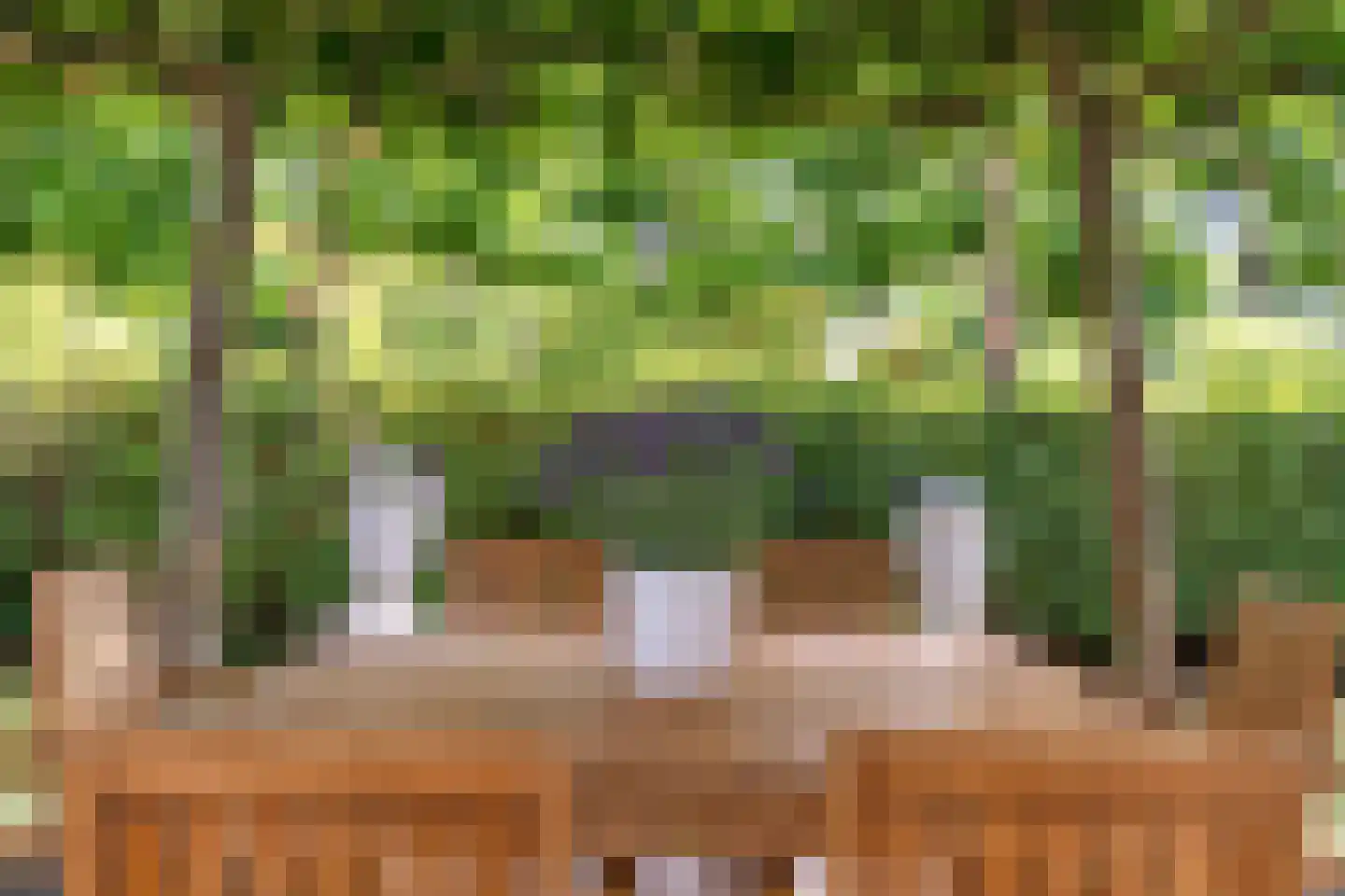 Van Vredenburchlaan 71 Bergschenhoek thumbnail 63