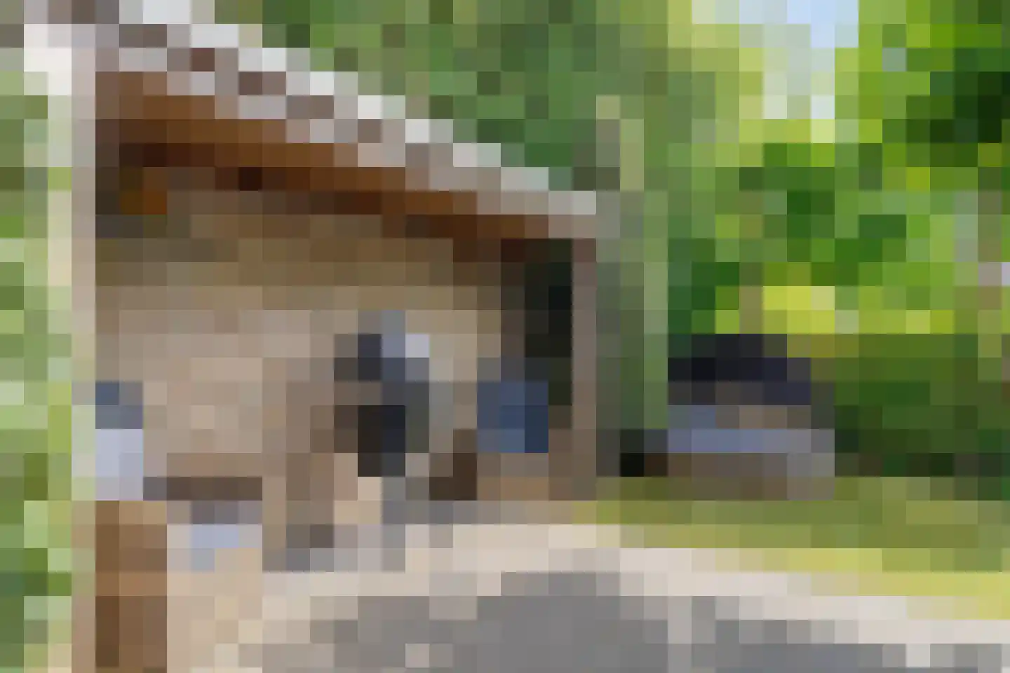Van Vredenburchlaan 71 Bergschenhoek thumbnail 66