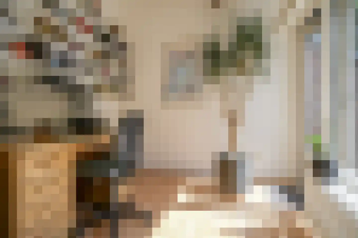 Van Vredenburchlaan 9 Bergschenhoek thumbnail 36