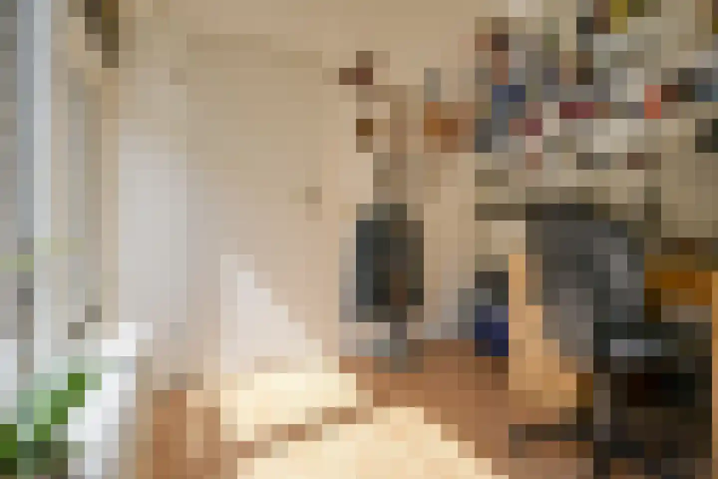 Van Vredenburchlaan 9 Bergschenhoek thumbnail 37