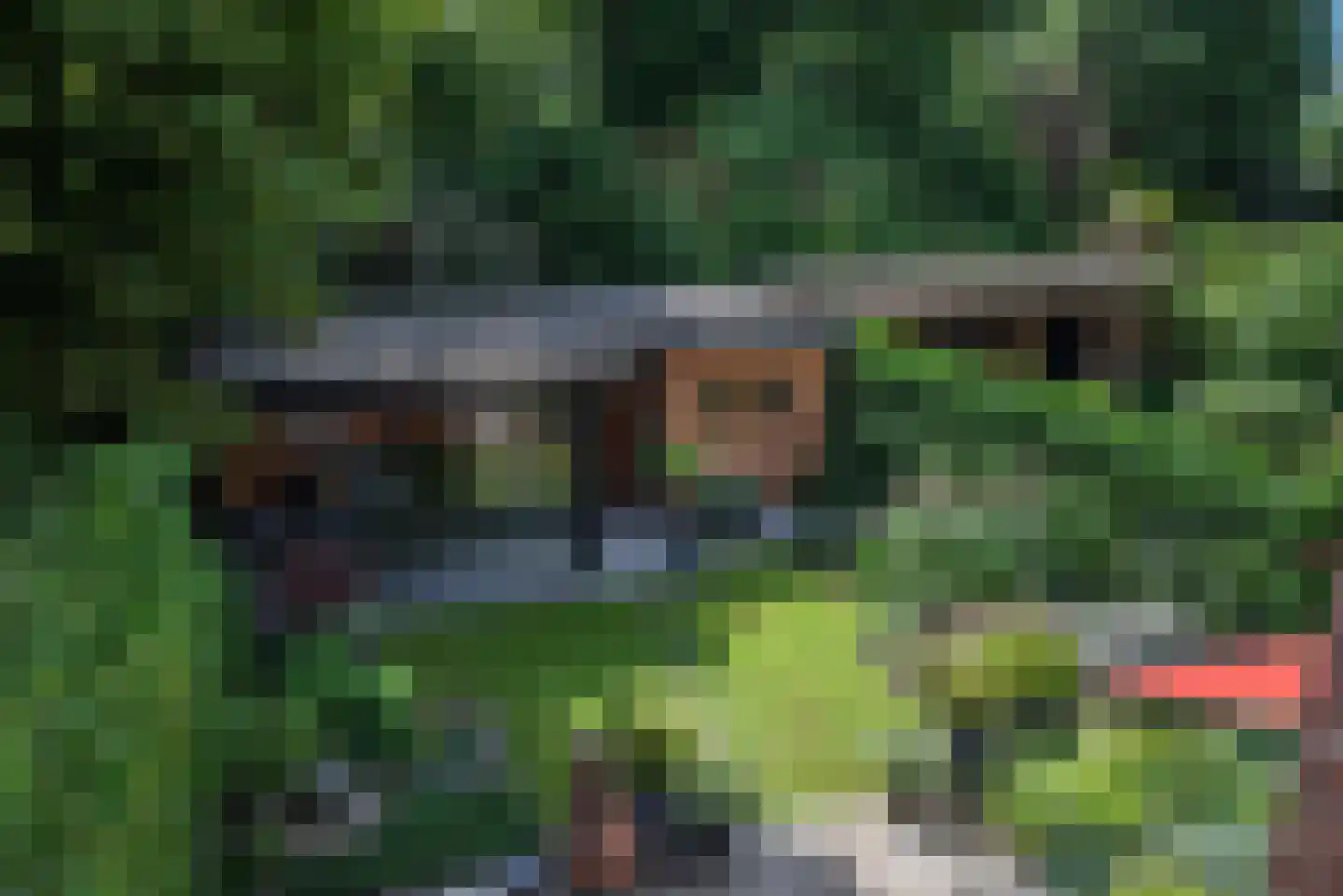 Van Vredenburchlaan 9 Bergschenhoek thumbnail 43