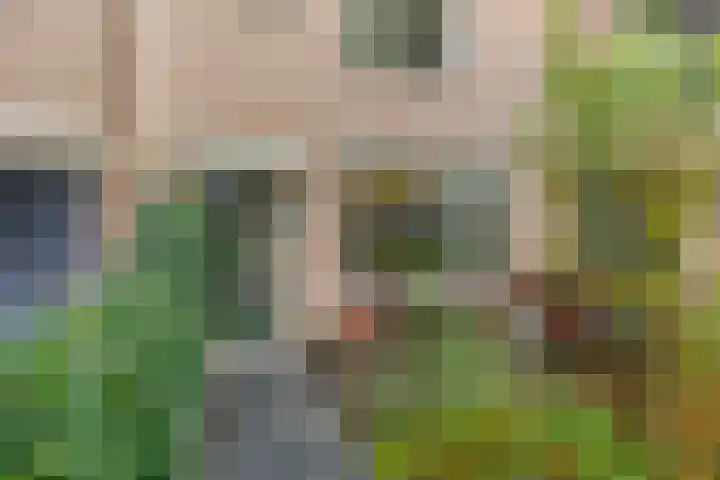 Van Vredenburchlaan 98 Bergschenhoek thumbnail 10