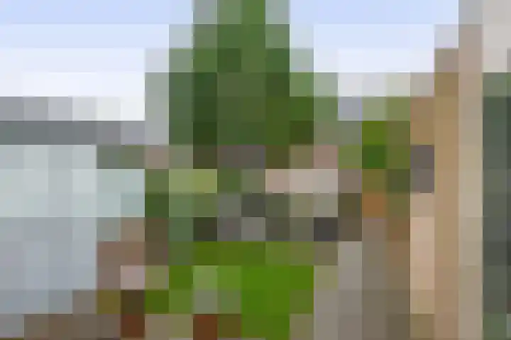 Van Vredenburchlaan 98 Bergschenhoek thumbnail 17