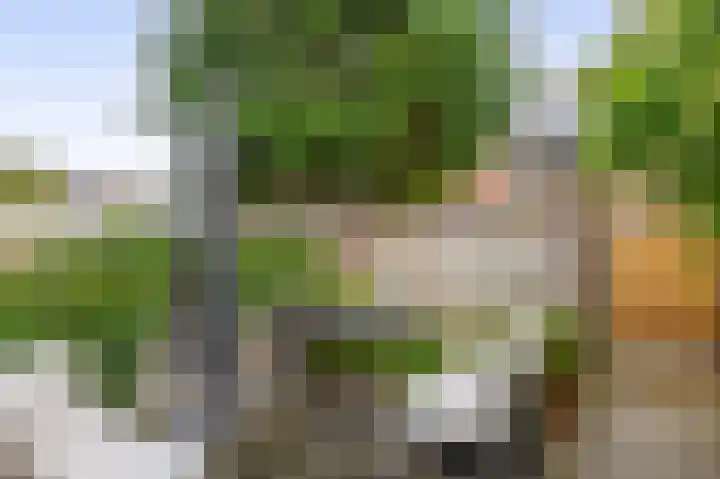Van Vredenburchlaan 98 Bergschenhoek thumbnail 18