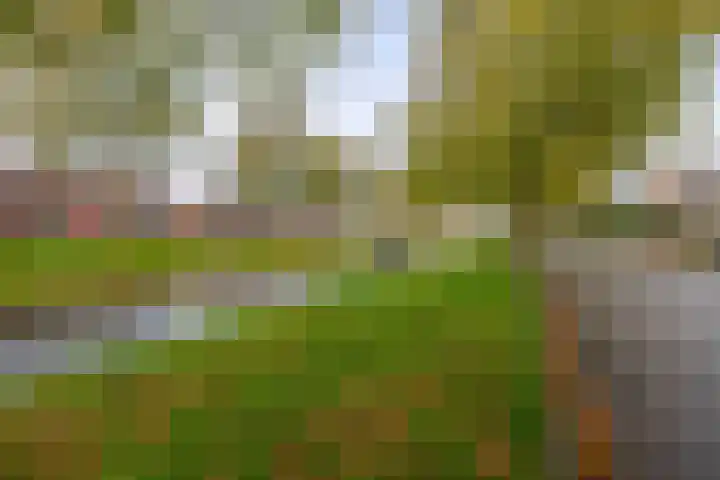Van Vredenburchlaan 98 Bergschenhoek thumbnail 32