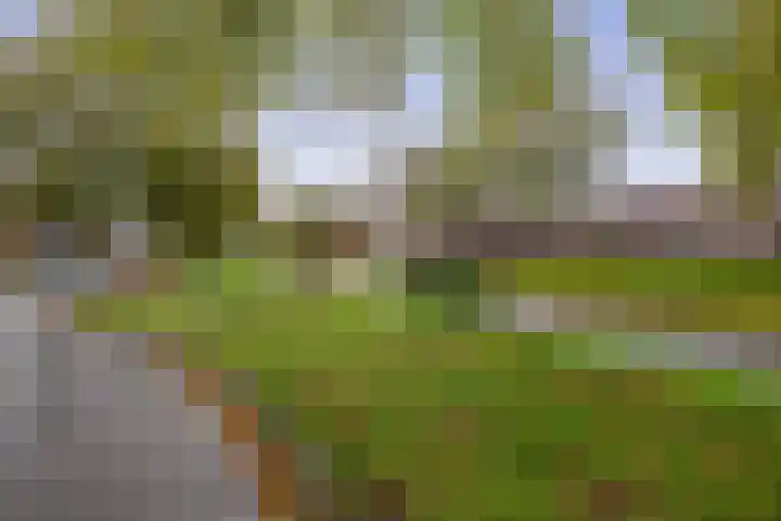 Van Vredenburchlaan 98 Bergschenhoek thumbnail 33