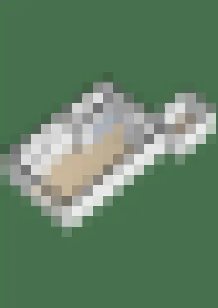 Van Vredenburchlaan 98 Bergschenhoek thumbnail 35