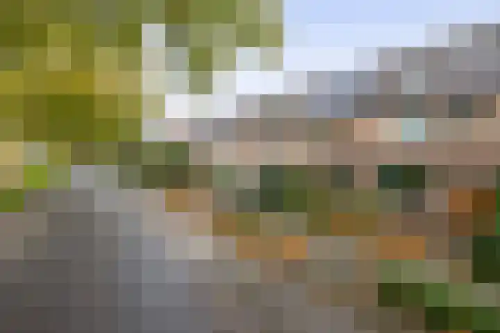 Van Vredenburchlaan 98 Bergschenhoek thumbnail 5