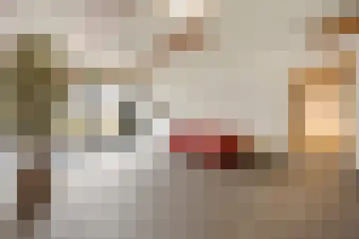van Vredenburchweg 459 Rijswijk thumbnail 34