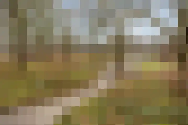 van Vredenburchweg 459 Rijswijk thumbnail 43