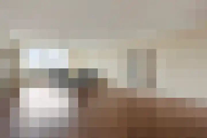 van Vredenburchweg 459 Rijswijk thumbnail 6