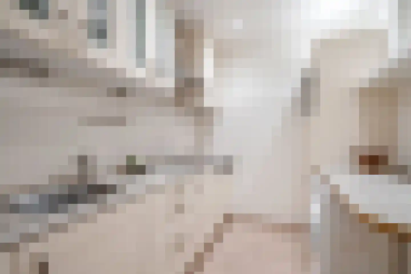 van Vredenburchweg 475 Rijswijk thumbnail 9