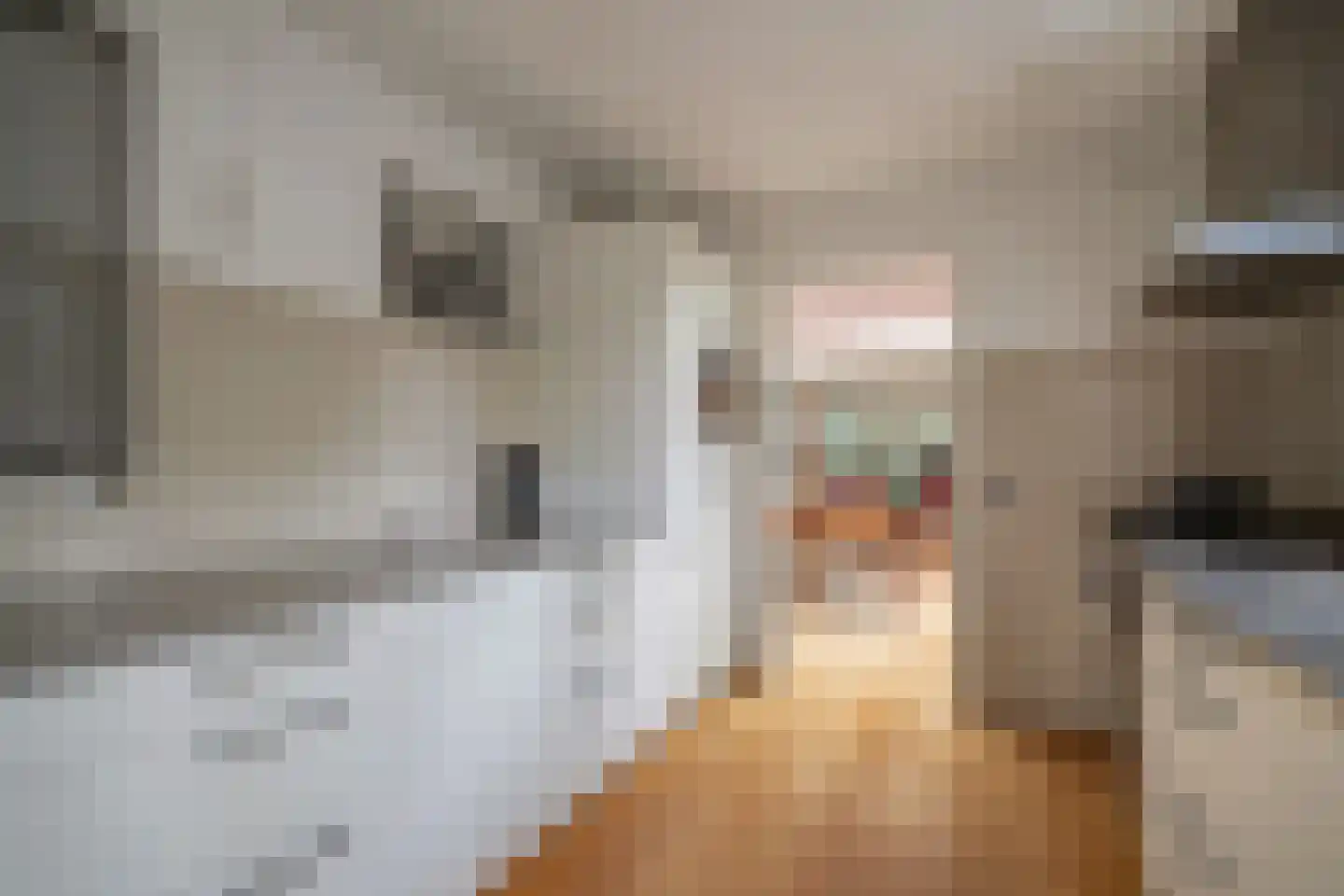 van Vredenburchweg 48 Rijswijk thumbnail 16