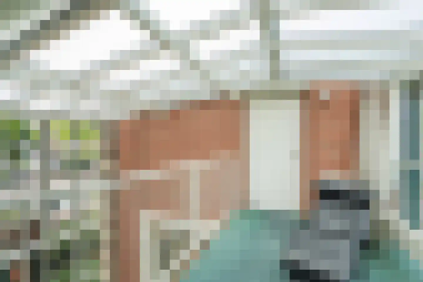 van Vredenburchweg 48 Rijswijk thumbnail 19