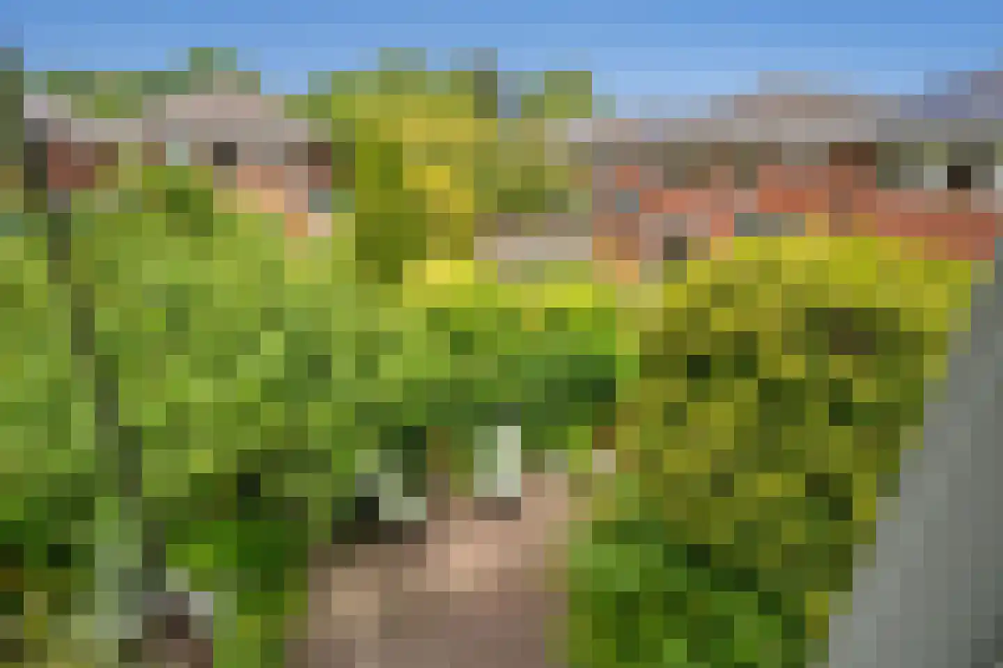 van Vredenburchweg 48 Rijswijk thumbnail 22