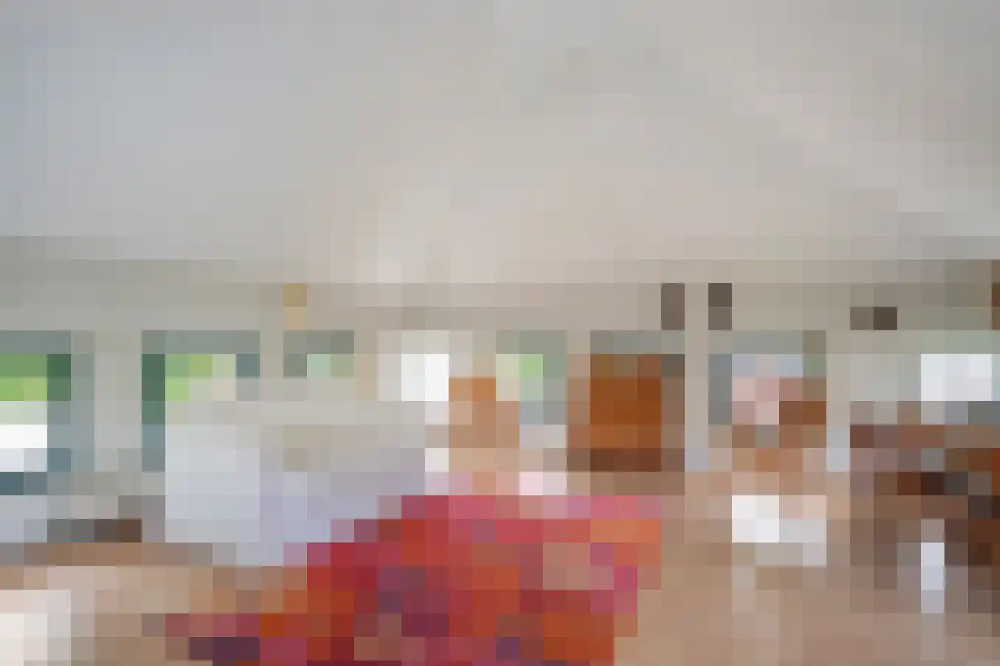 van Vredenburchweg 48 Rijswijk thumbnail 33