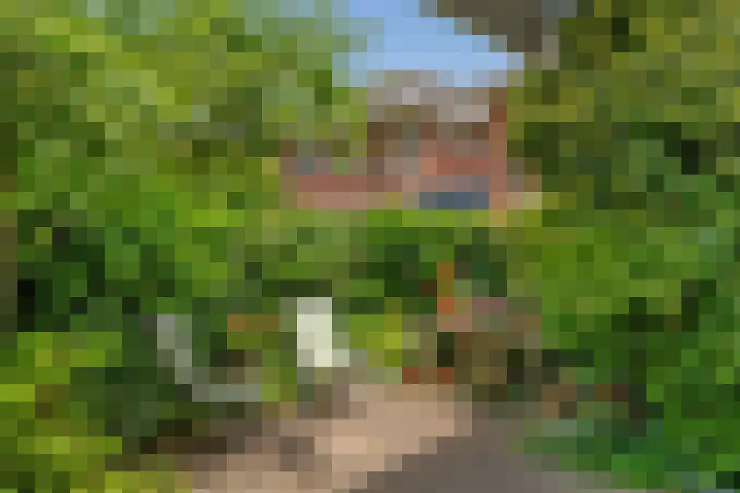 van Vredenburchweg 48 Rijswijk thumbnail 35