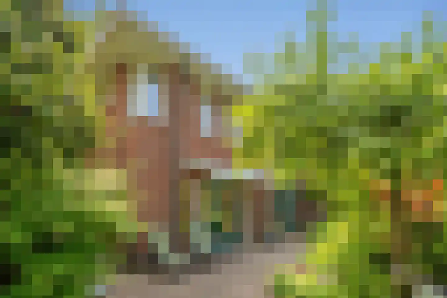 van Vredenburchweg 48 Rijswijk thumbnail 36