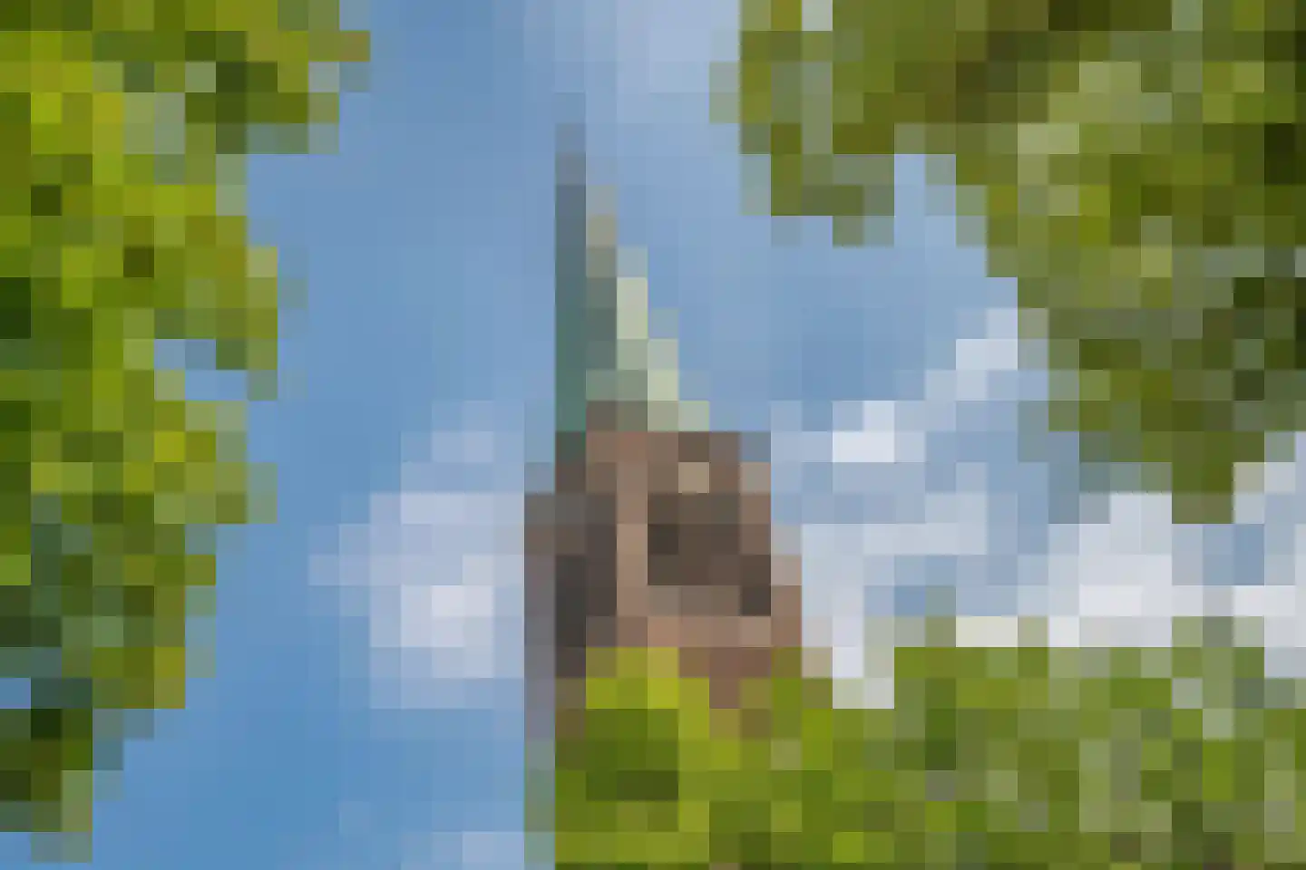 van Vredenburchweg 48 Rijswijk thumbnail 38