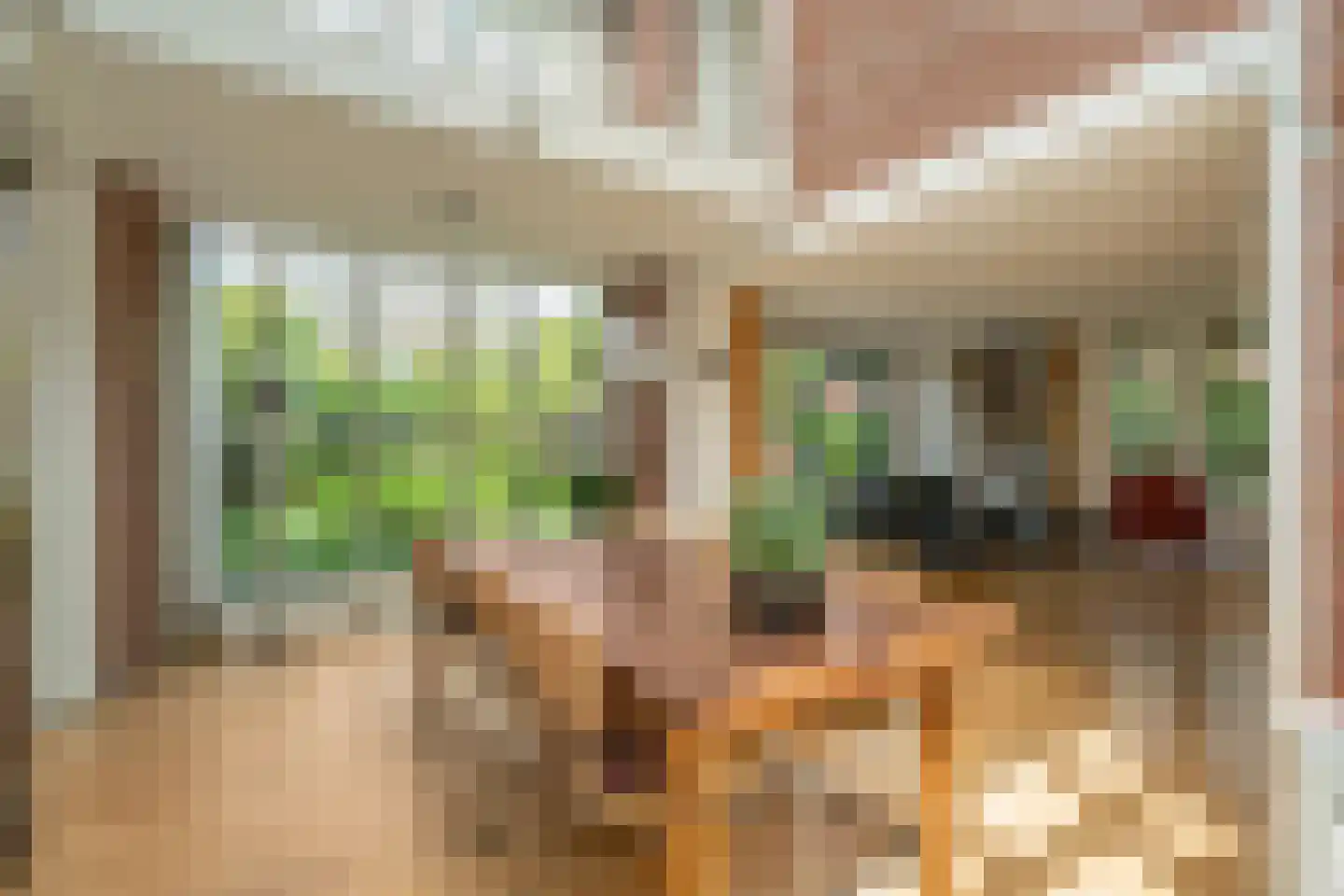van Vredenburchweg 48 Rijswijk thumbnail 7