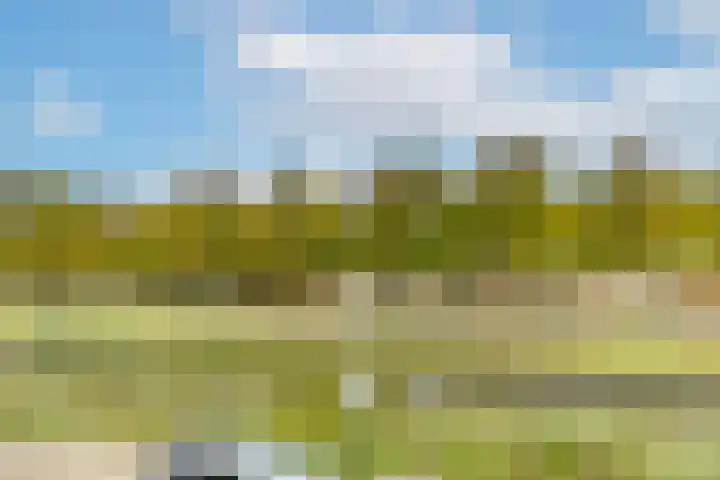 van Vredenburchweg 509 Rijswijk thumbnail 17