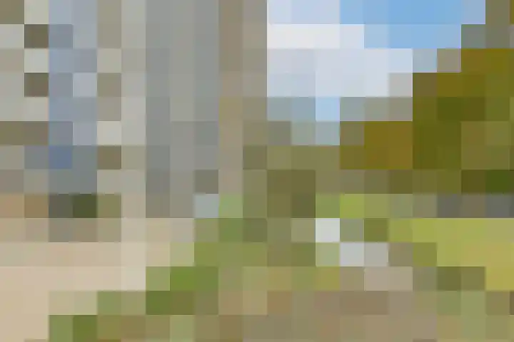 van Vredenburchweg 509 Rijswijk thumbnail 35