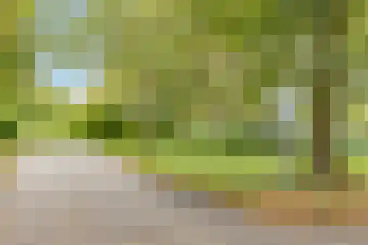 van Vredenburchweg 509 Rijswijk thumbnail 39