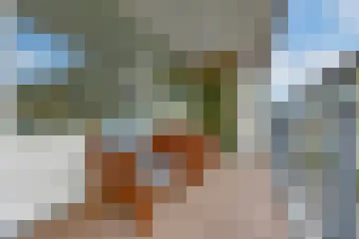 van Vredenburchweg 509 Rijswijk thumbnail 8