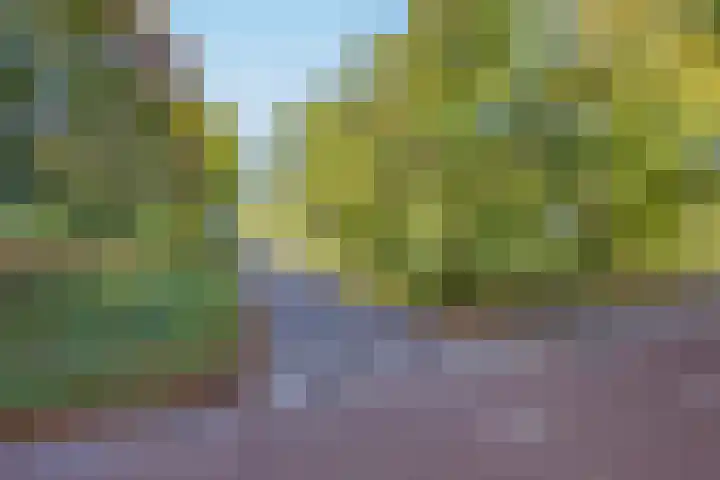 van Vredenburchweg 531 Rijswijk thumbnail 39