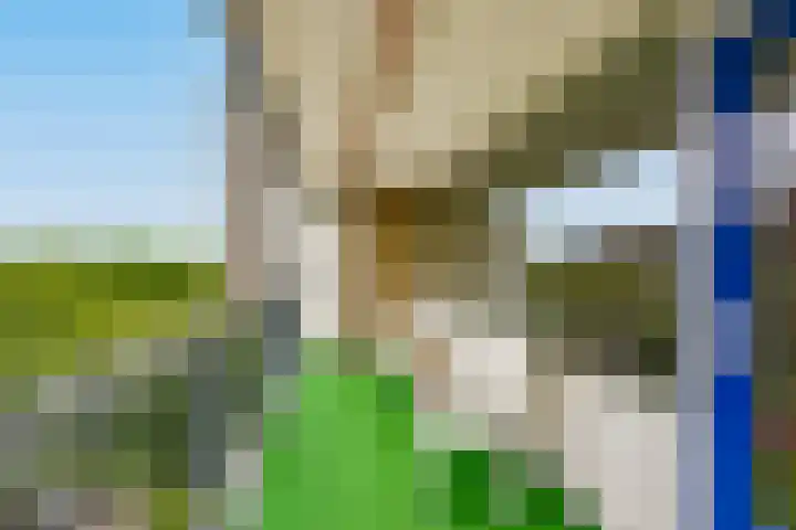 van Vredenburchweg 531 Rijswijk thumbnail 9