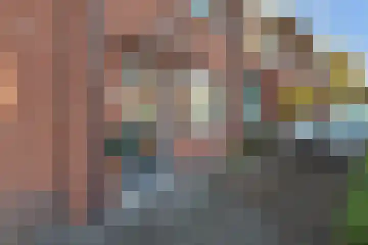 van Vredenburchweg 56 a Rijswijk thumbnail 39