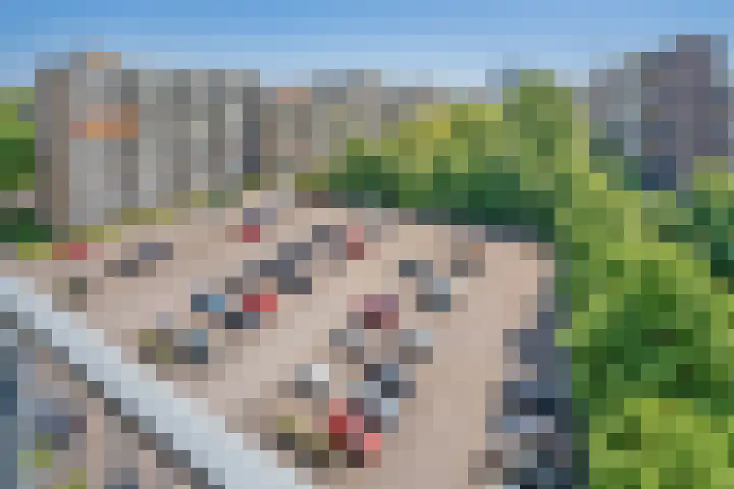 van Vredenburchweg 619 Rijswijk thumbnail 15