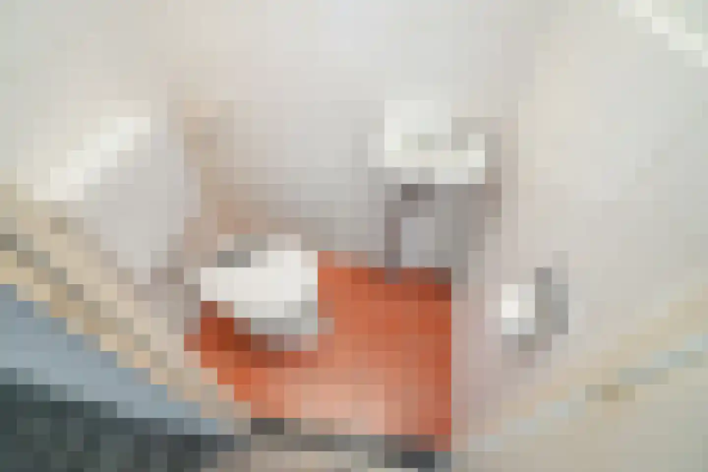 van Vredenburchweg 619 Rijswijk thumbnail 8