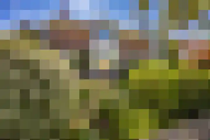 van Vredenburchweg 95 Rijswijk thumbnail 32