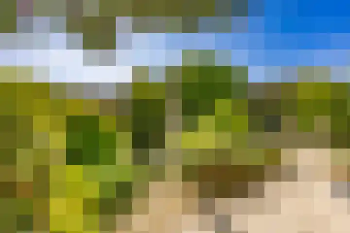 van Vredenburchweg 95 Rijswijk thumbnail 33