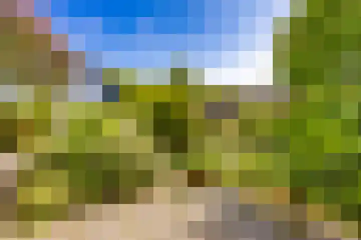 van Vredenburchweg 95 Rijswijk thumbnail 34