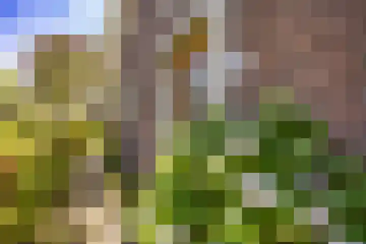 van Vredenburchweg 95 Rijswijk thumbnail 37
