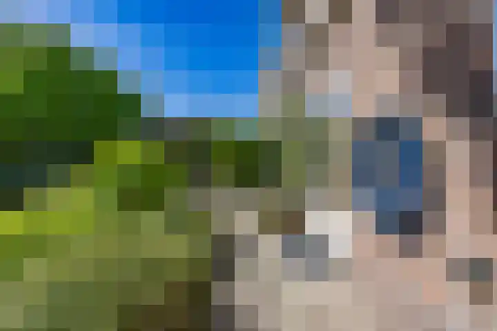 van Vredenburchweg 95 Rijswijk thumbnail 41